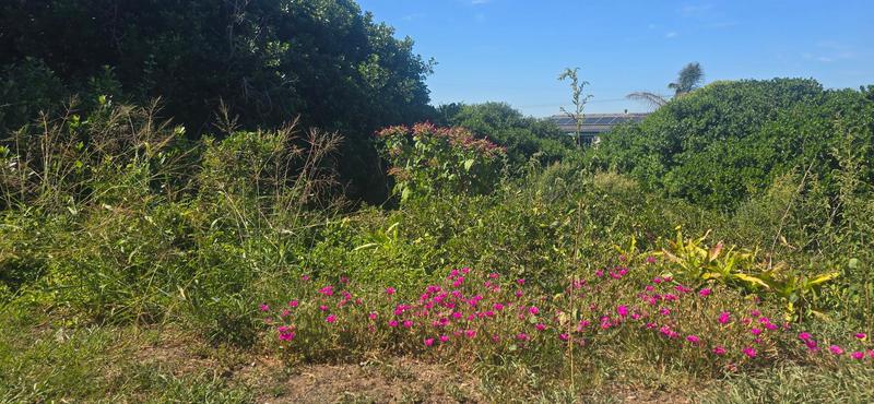 0 Bedroom Property for Sale in Reebok Western Cape